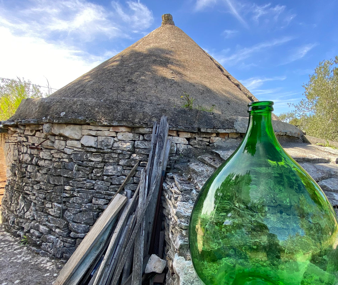Uliveti di Corato, in Puglia